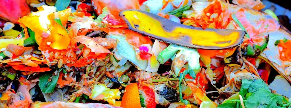 How To Reduce Household Waste And Junk 1