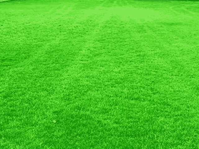 What Are The Benefits Of Artificial Grass Rug In Your Garden 3
