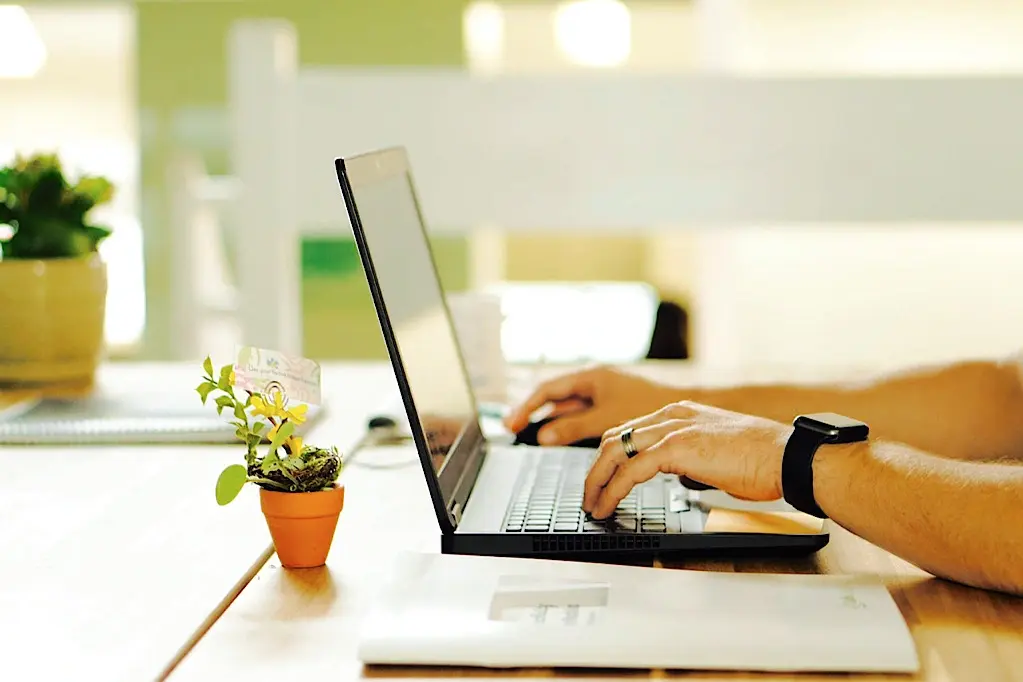 Thinking of Buying Plants Online? Keep These 7 Factors in Mind 2