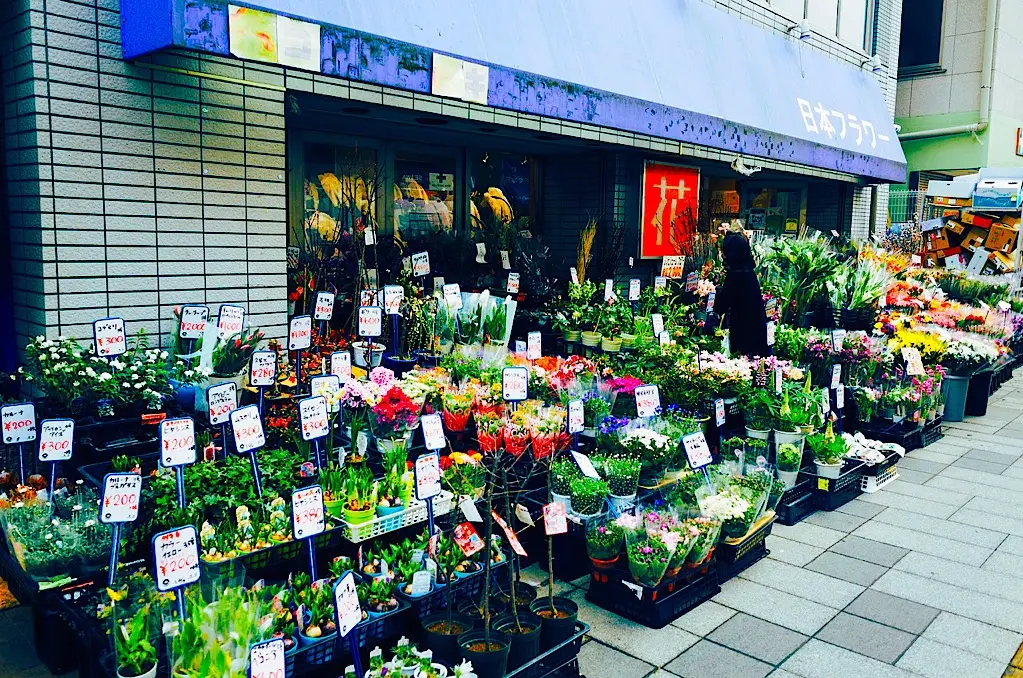 Thinking of Buying Plants Online? Keep These 7 Factors in Mind 3