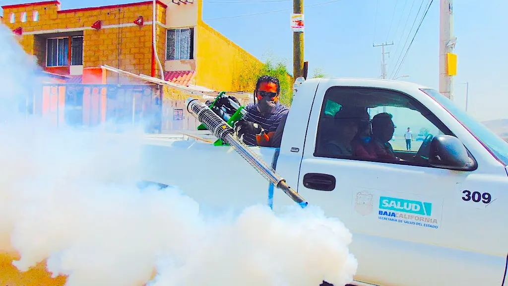 Pest Control Tips for New Home Buyers 1