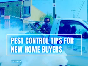 Read more about the article Pest Control Tips for New Home Buyers