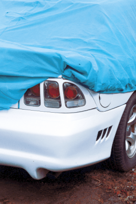 Car Covers and Dog Seat Covers 2