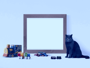 Read more about the article Cat Toy – A Smart and Time-Saving Solution for a Cat Lover