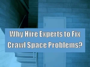 Read more about the article Why Hire Experts to Fix Crawl Space Problems?