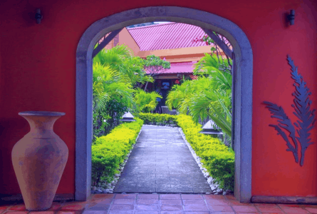 How To Make Garden Beautiful - 6 Tips To Beautify Your Garden 1