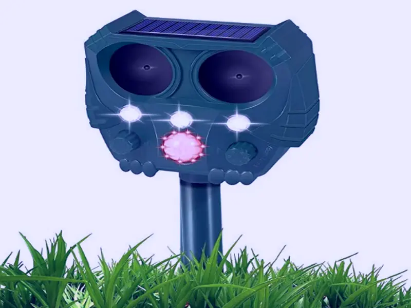 How To Keep Cats Off Your Artificial Lawn Cat Deterrent