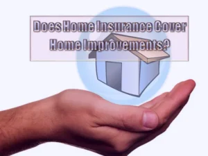 Read more about the article Does Home Insurance Cover Home Improvements?