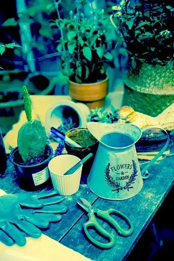 How to Choose The Best Garden Tools For Your Gardening Business 1