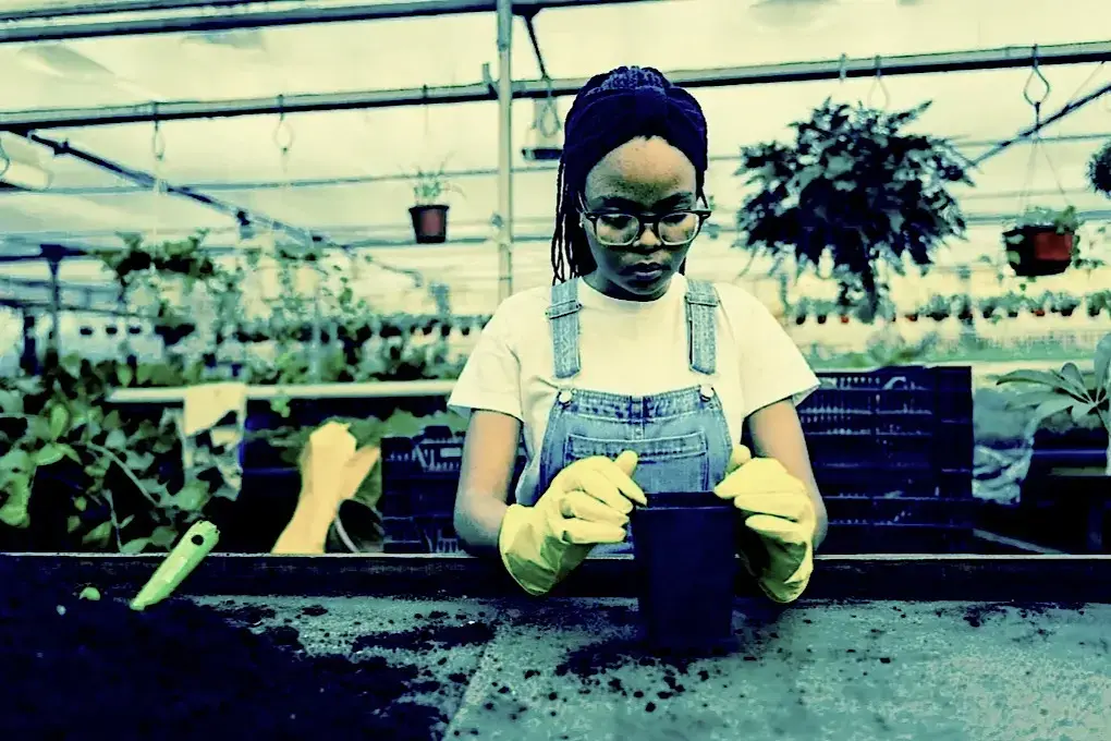 How to Choose The Best Garden Tools For Your Gardening Business 4