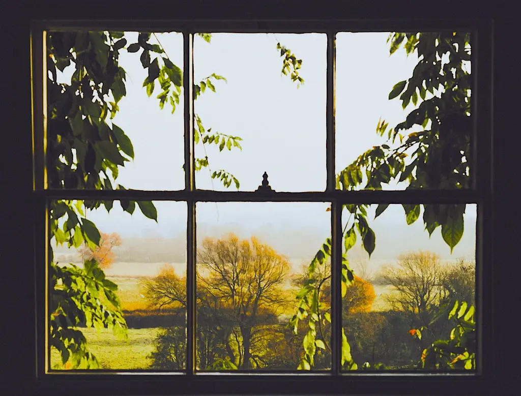 6 Game-Changing Reasons to Invest in Window Replacement 1