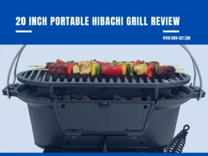 Read more about the article Best 20 Inch Portable Hibachi Grill: A Review