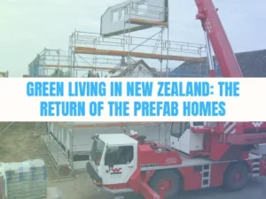 Read more about the article Green Living in New Zealand | The Return of the Prefab Homes